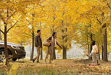 《光环无限》多人游戏不可用怎么办？使用野豹加速器轻松解决！